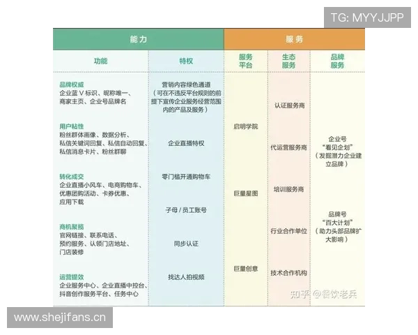 南非队2026世界杯预选赛突围之路 非洲区竞争格局与晋级形势分析